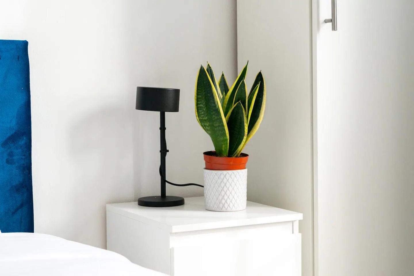 King's Cross Cosy Corner Pass The Keys Appartamento *